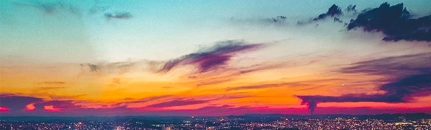 黄山茶虫网_黄山品茶